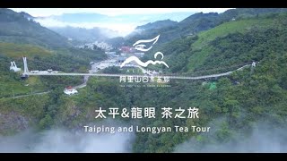 2021阿里山春季線上茶旅-太平\u0026龍眼 茶之旅-Alishan Tea Festival In Four Seasons