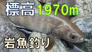 【黒部源流釣り②】標高1970ｍ！天空のイワナたち！！ ~Bait Fishing ＆ Fly Fishing~