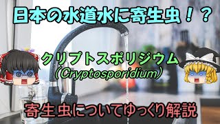 【ゆっくり解説】日本の水道水に寄生虫！？寄生虫についてゆっくり解説