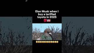 Elon When I Buy A Toyota lol #automobile #memes #shorts #tesla #elonmusk #autofacts #carcraze #meme