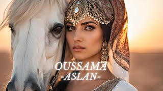 Divine Music | Ethnic & Deep House  Oussama Aslan Vol.8  #chillhouse #deephouse #music #oudmusic