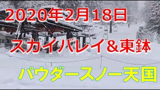 2020年2月18日 スカイバレイ・ハイパーボウル東鉢 ゲレンデ状況