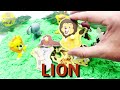 let s learn about animals with activity puzzle board best preschool toddler fun toy learning video