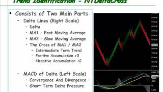 Newbie-Trader.com The Delta Cross