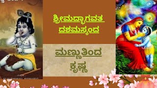 Shrimadbhaagavata Dashamaskanda 19 ಶ್ರೀಮದ್ಭಾಗವತ ಪ್ರವಚನ, 19