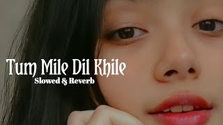 Tum Mile Dil Khile - Stebin Ben(Slowed + Reverb)Letest Song 2023 - Lofi Master