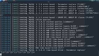 Web For Pentester | Demonstrated By A Ethical Hacker | SQL injections Examples P4