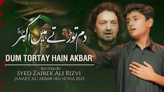 Nohay 2023 | Dum Tortay Hain Akbar | Zairek Ali | Muharram 1445/2023 | Mola Ali Akbar Noha
