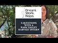 #Harvest2023 - 5 Questions with a Harvest Intern - Hala from Dominus Estate