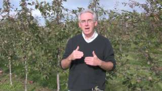 UMass Video Fruit Advisor, October 22, 2009: PAD Analysis for apple scab