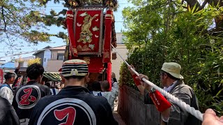 2024年4月14日（日曜）山車祭り 長尾地区祭礼-本祭　玉貫-玉神車　武雄神社から曳き出し後の下り坂。