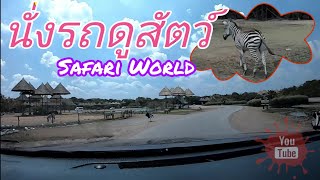 ขับรถดูสัตว์ป่าในซาฟารีเวิลด์ [ Safari World Bangkok ]