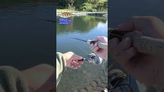 【AREA TROUT Fishing】DS Bevy vib ＃PP Choco Chip DAYSPROUT 2023 10 21   HD 1080p