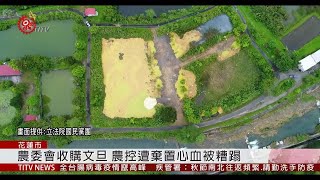 收購文旦棄田間? 農委會澄清:作有機試驗堆肥 2019-09-13 IPCF-TITV 原文會 原視新聞