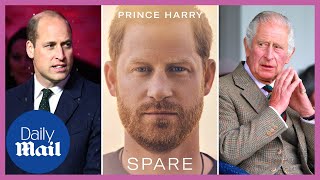 Prince Harry Book: Allegations against Prince William and King Charles III in 'Spare'