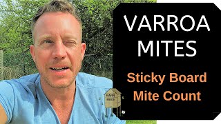 How To Check For Varroa Mites - Sticky Board Mite Count