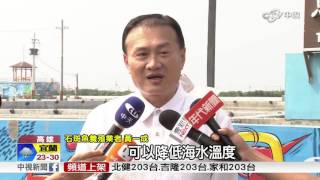 【中視新聞】 優質石斑魚競賽 行銷冷凍石斑魚 20150920