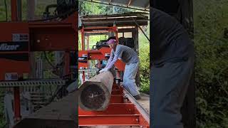 One-operation lumber！製材はワンオペで出来るよ！　#lumbar  #sawmill  #製材　#wood  #woodworking  #japan #木