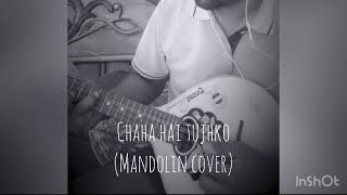 Chaha Hai Tujhko l Mann(1999) l Edho Oru Paatu l Mandolin Instrumental Cover