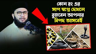 কোন রংএর সাপ স্বপ্নে দেখলে বুজবেন আপনার বিপদ আসবেই। মুফতী কাউছার আহমাদ ঢাকা