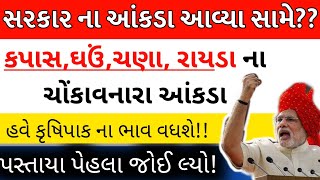 સરકાર ના ચોકવનારા આંકડા | કપાસ,ઘઉં,ચણા, રાયડા ના ભાવ | ભાવ વધશે | kapas na bhav | ghav na bhav|સર્વે