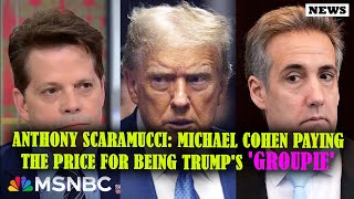 Anthony Scaramucci: Michael Cohen paying the price for being Trump's 'groupie' | MSNBC