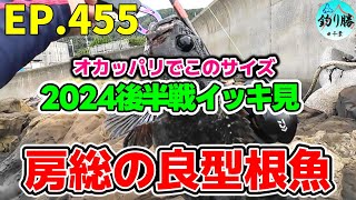 EP.454 房総穴釣り 2024年後半戦の20cmアップ根魚をイッキ見