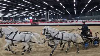 Driving challenge čtyřspřeží v rámci Amadeus horse indoor