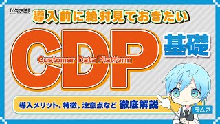 CDPって何？導入メリットや注意点を徹底解説！