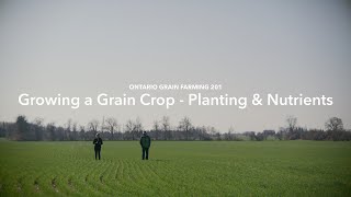Ontario Grain Farming 101: Growing a Grain Crop - Planting & Nutrients