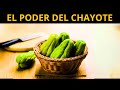 DEBES de COMER CHAYOTE por ESTO -7 Grandes Beneficios