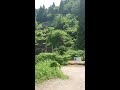 【心霊スポット】土倉鉱山跡【滋賀県】