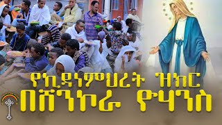 🛑የእናታችን ቅድስት ኪዳነምህረት ዝክር በሸንኮራ ቅዱስ ዮሐንስ