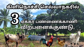 கிளிநொச்சி செல்வாநகரில் 3 ஏக்கர் பண்ணைக்காணி விற்பனைக்குண்டு | Kilinochchi land for sale |