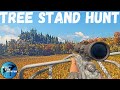 Tree Stand Hunt On Hirschfelden! TheHunter Call Of The Wild