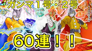 【ドッカンバトル】DOKKANフェスでガンマ1号2号を狙う60連！！