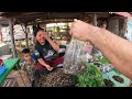 ตลาดลาวบ้านหนาด แมงแคง หอยเดื่อ ไข่มดแดง จั๊กจั่น อาหารลาวเด็ดๆep.1