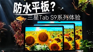 Galaxy Tab S9 | 可以下水的旗舰平板？Galaxy Tab S9全系体验【胜利文绉绉】