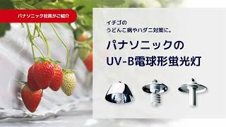 UV-B電球形蛍光灯の特長 | Panasonic