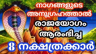 ഉടനെ ജീവിതത്തിൽ അൽഭുതങ്ങൾ ഇവർക്ക് നടക്കും