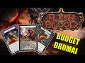 Budget Dromai Blitz Deck | My First Step Into Flesh And Blood!