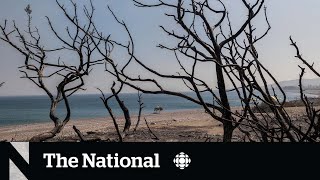 All these heat waves are the new normal, scientists say