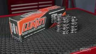 Lunati Signature Series LS Valve Springs