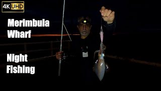 Pike and Squid Fishing at Night From Merimbula Wharf | Night Wharf Fishing 4K