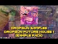 Dropgun Samples - Future House 1 (Sample Pack)