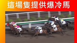 [香港賽馬貼士] 2024年11月13日 這場提供一隻冷門馬，5倍樓上的馬