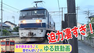 【完全版】迫力凄すぎ！EF210の貨物列車が目の前を通過!! 山陽本線 庭瀬 24-06【ゆる鉄】 #貨物列車 #電気機関車 #山陽本線