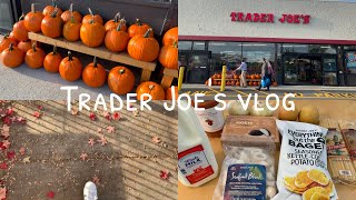 Trader Joe's買い物/購入品🧸/ボストン生活/アメリカ🇺🇸留学帯同妻vlog