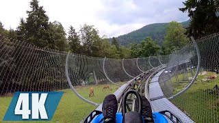 Coasterbahn | Steinwasen Park | 4K Onride POV