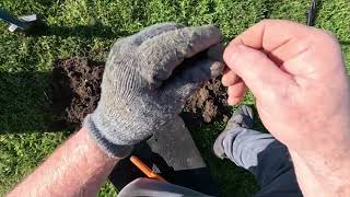 NYMD - New York Metal Detecting - Minelab Manticore at 1811 House